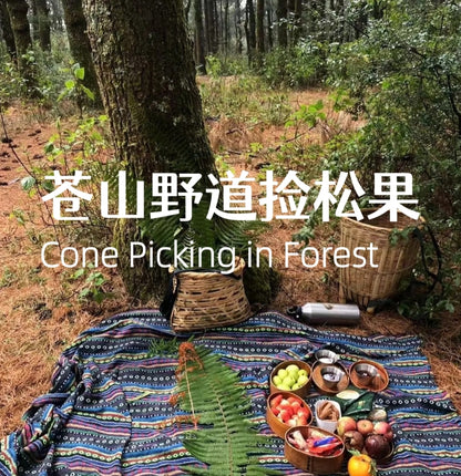 Allez à la montagne Cangshan pour cueillir des pommes de pin et des pignons de pin 