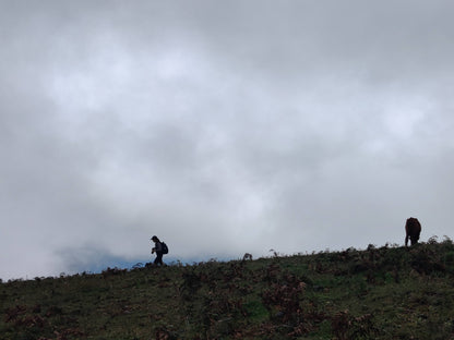 Muxiangping｜Caminata ligera por la pradera alpina