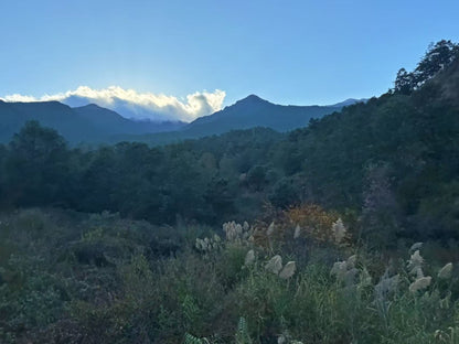 傍晚清碧溪茶园徒步 ｜下山向导红红家吃饭