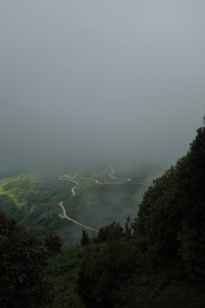 Hanhan's Ailao Mountain Forest Hike (2-day trip)