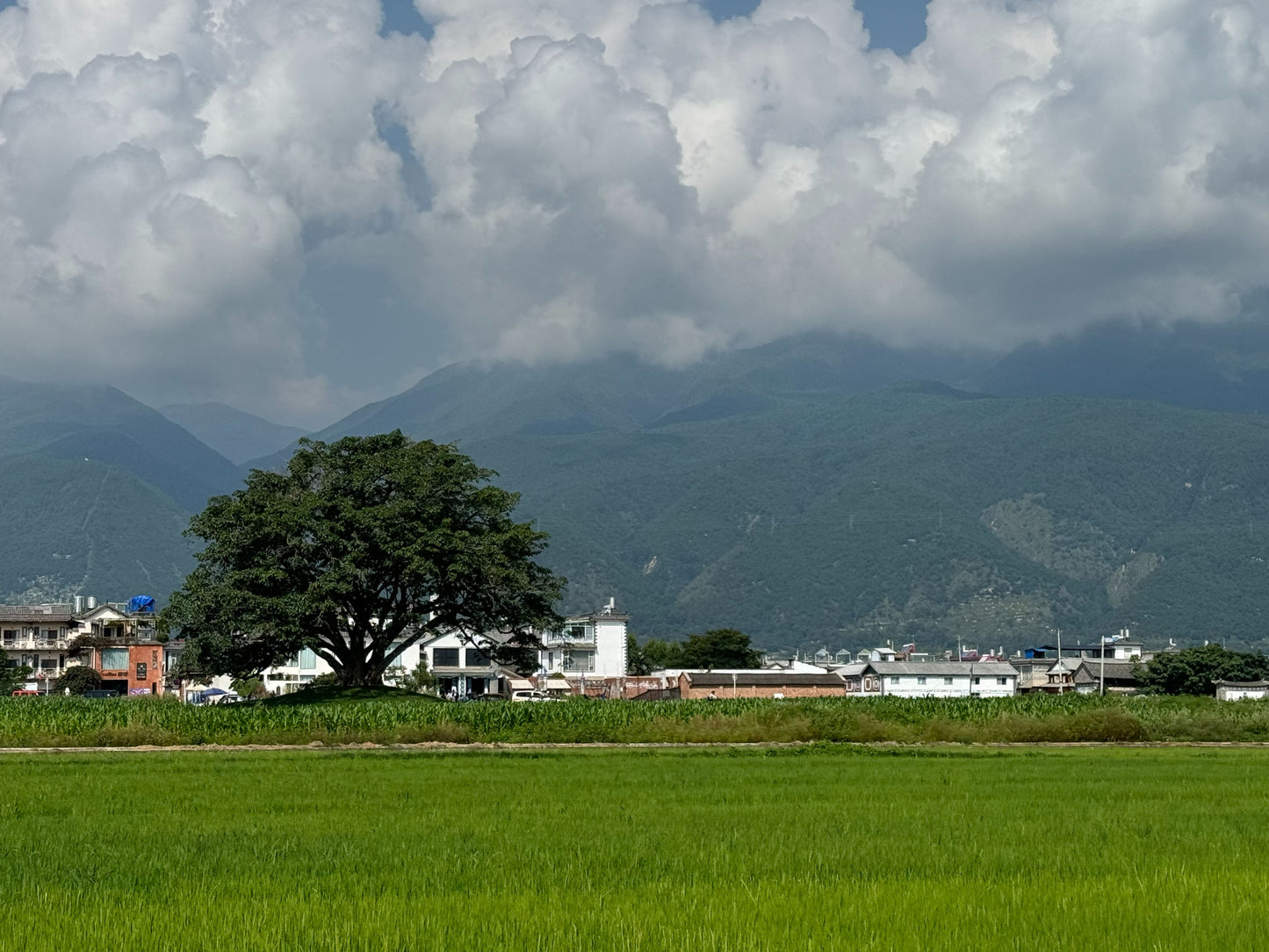 Ciclismo en Xizhou | Explorando pueblos, campos y el lago Erhai con Randy