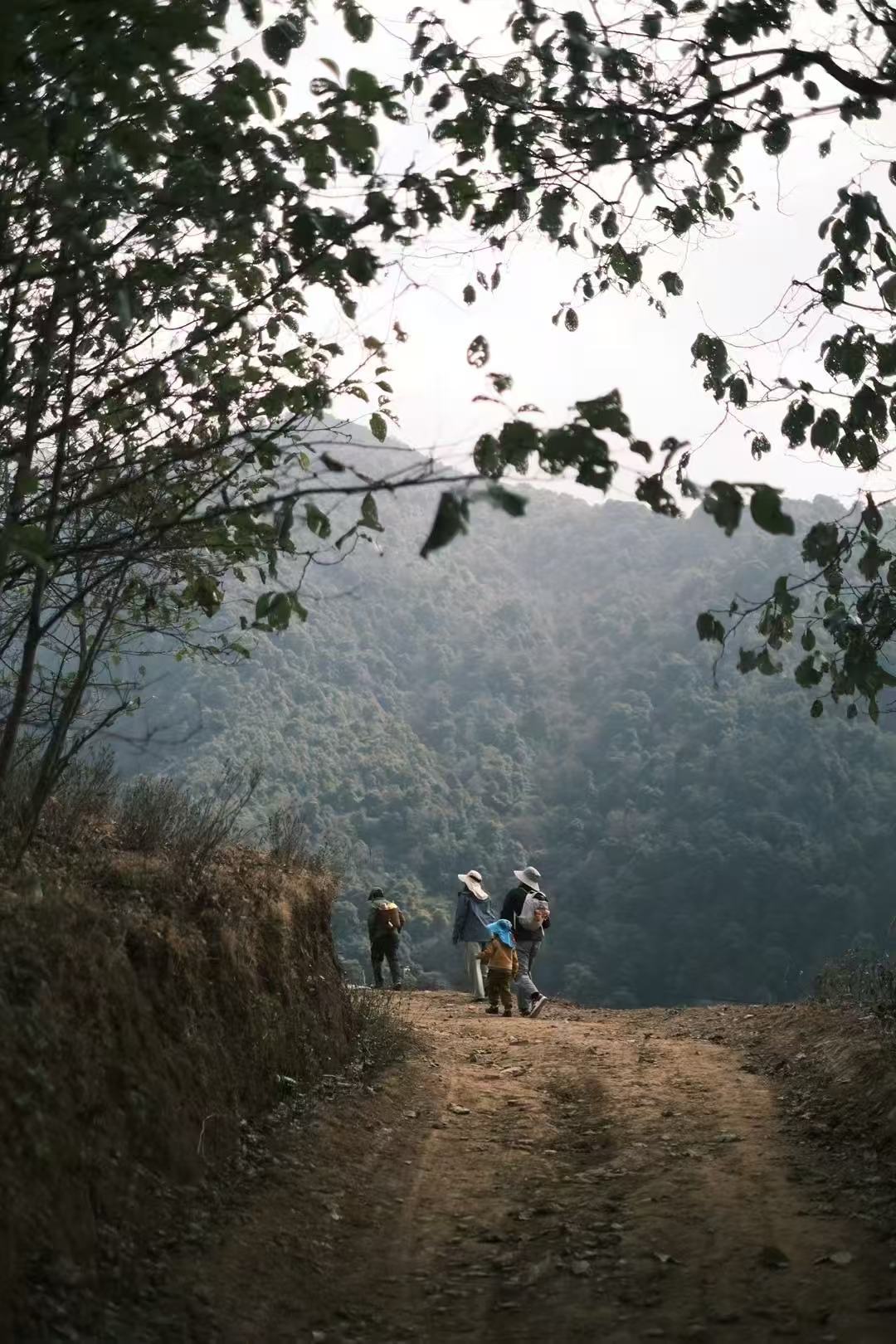 西坡深山里“亲戚”家的一天 | 苍山的另一边