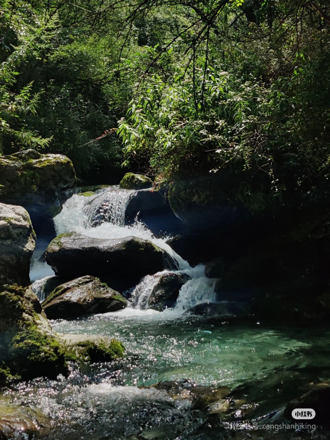 Hiking to Boluo temple and enjoy the vegan food