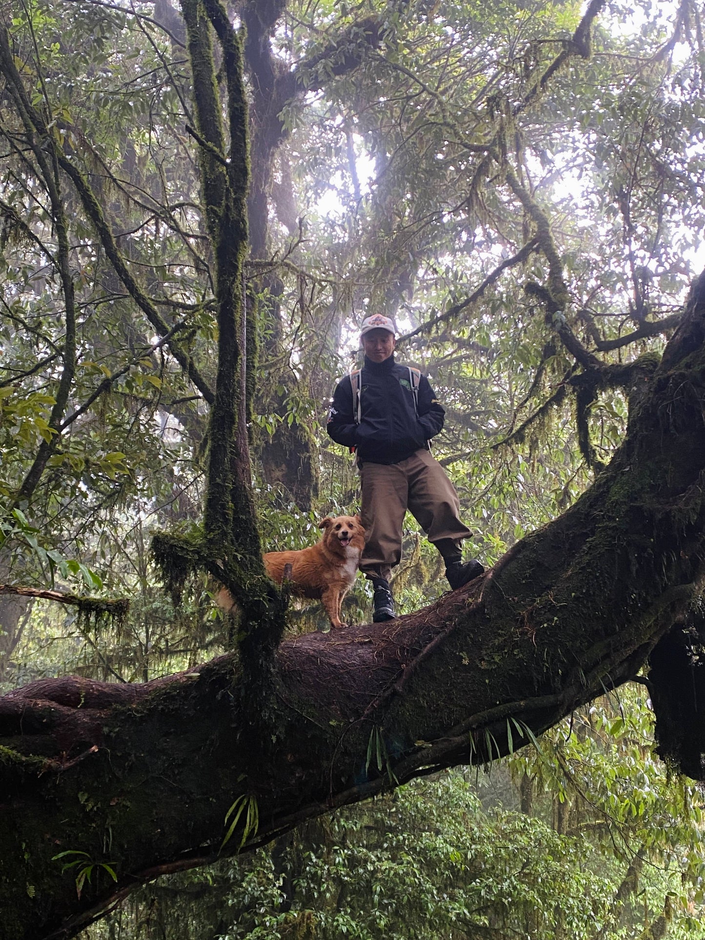Hanhan's Ailao Mountain Forest Hike (2-day trip)