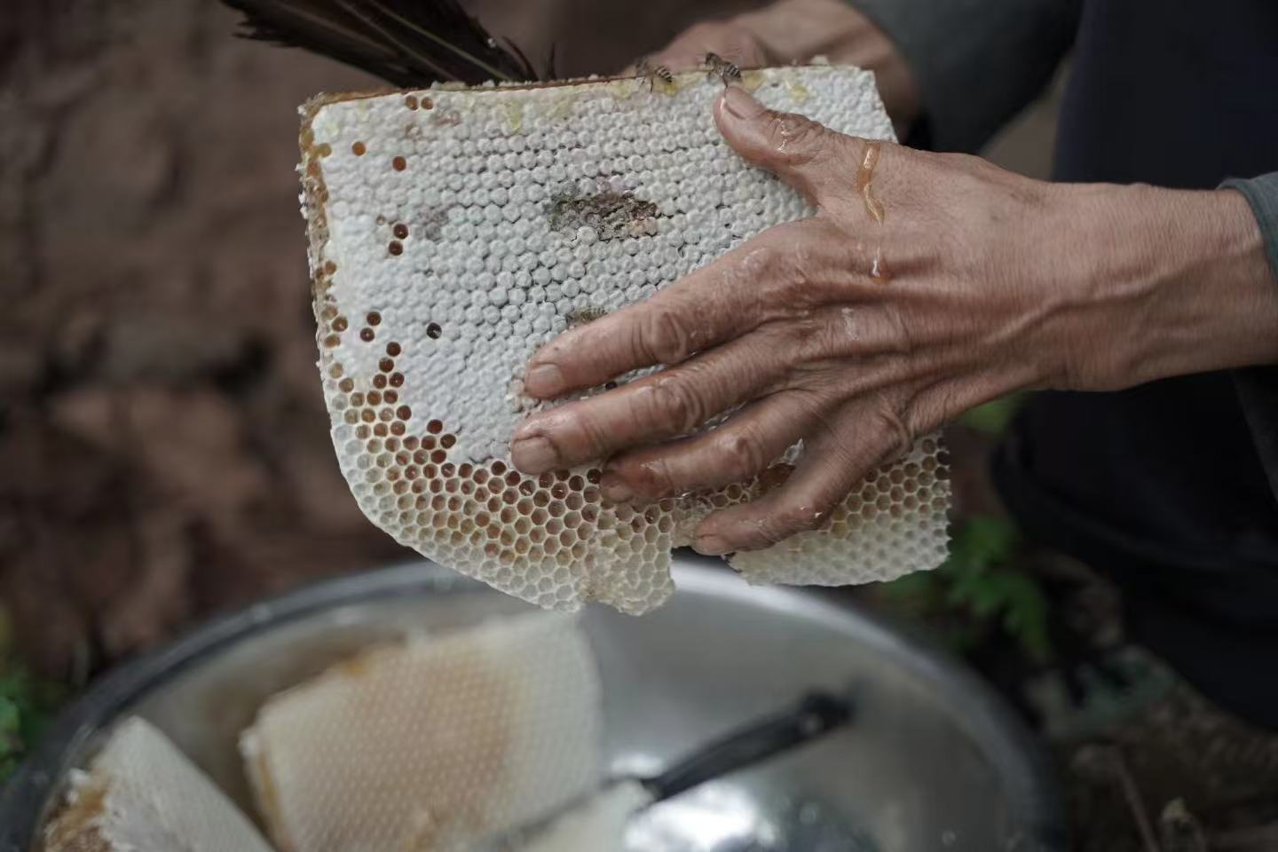 Nhà Maoge ở làng Songhe