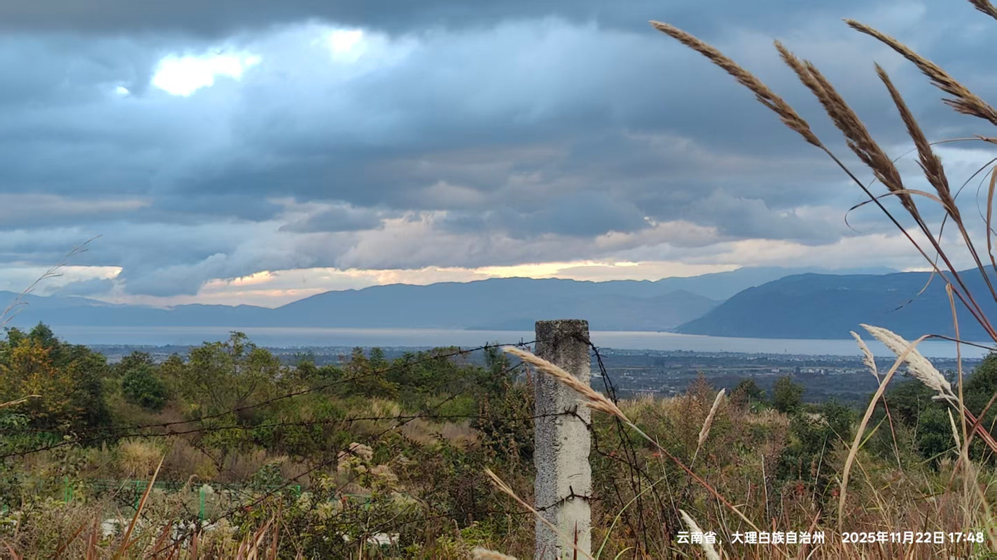 傍晚清碧溪茶园徒步 ｜下山向导红红家吃饭
