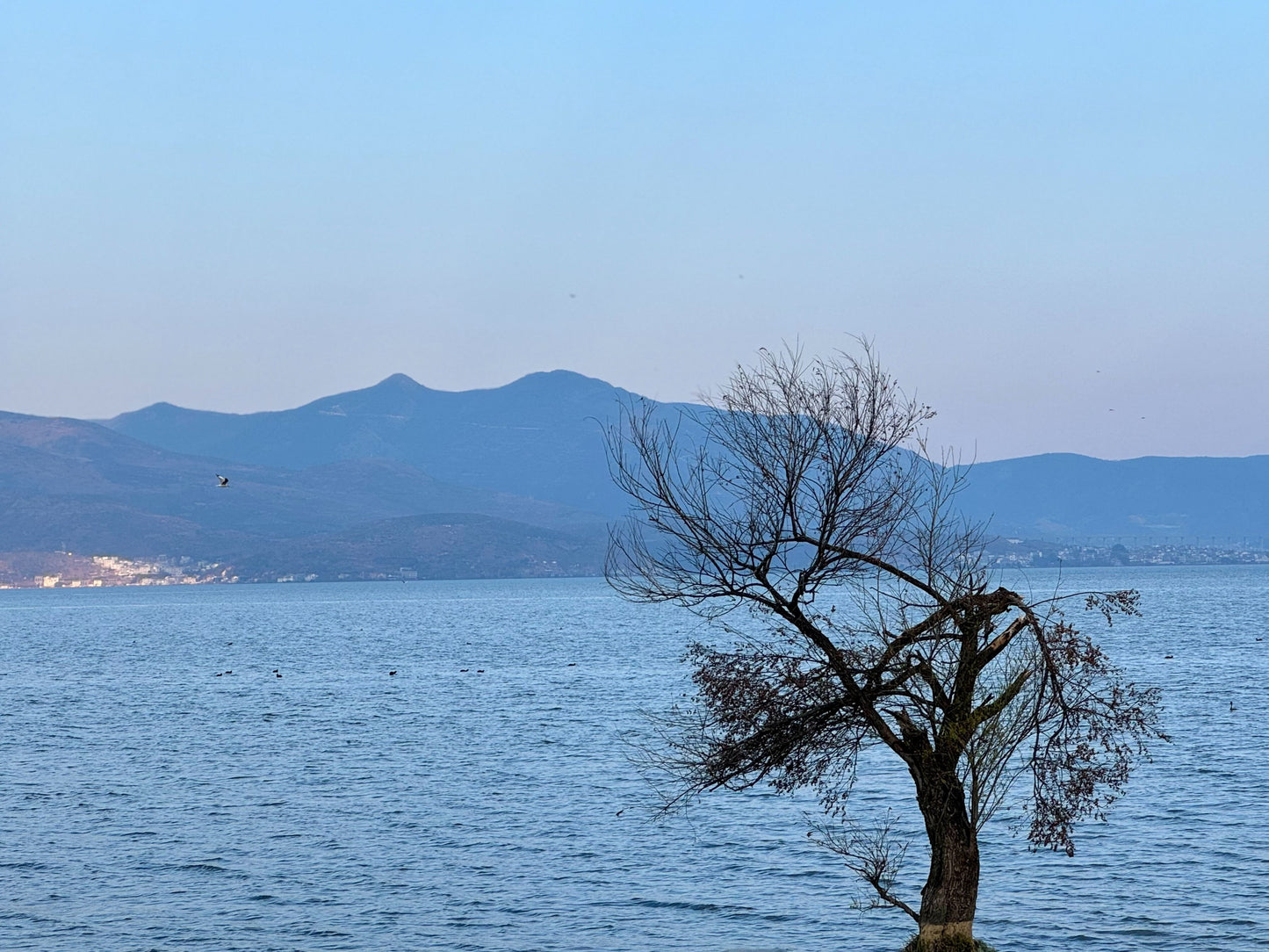 Faire du vélo à Xizhou | Découverte des villages, des champs et du lac Erhai avec Randy