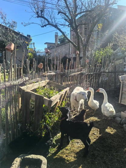 「鱒魚餐廳」 精緻西餐