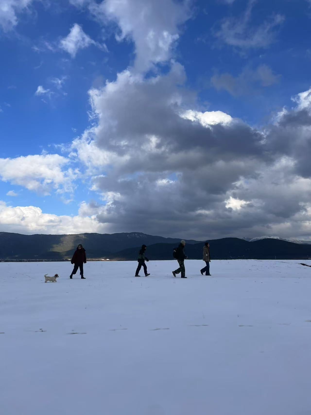 Video tài liệu-clip