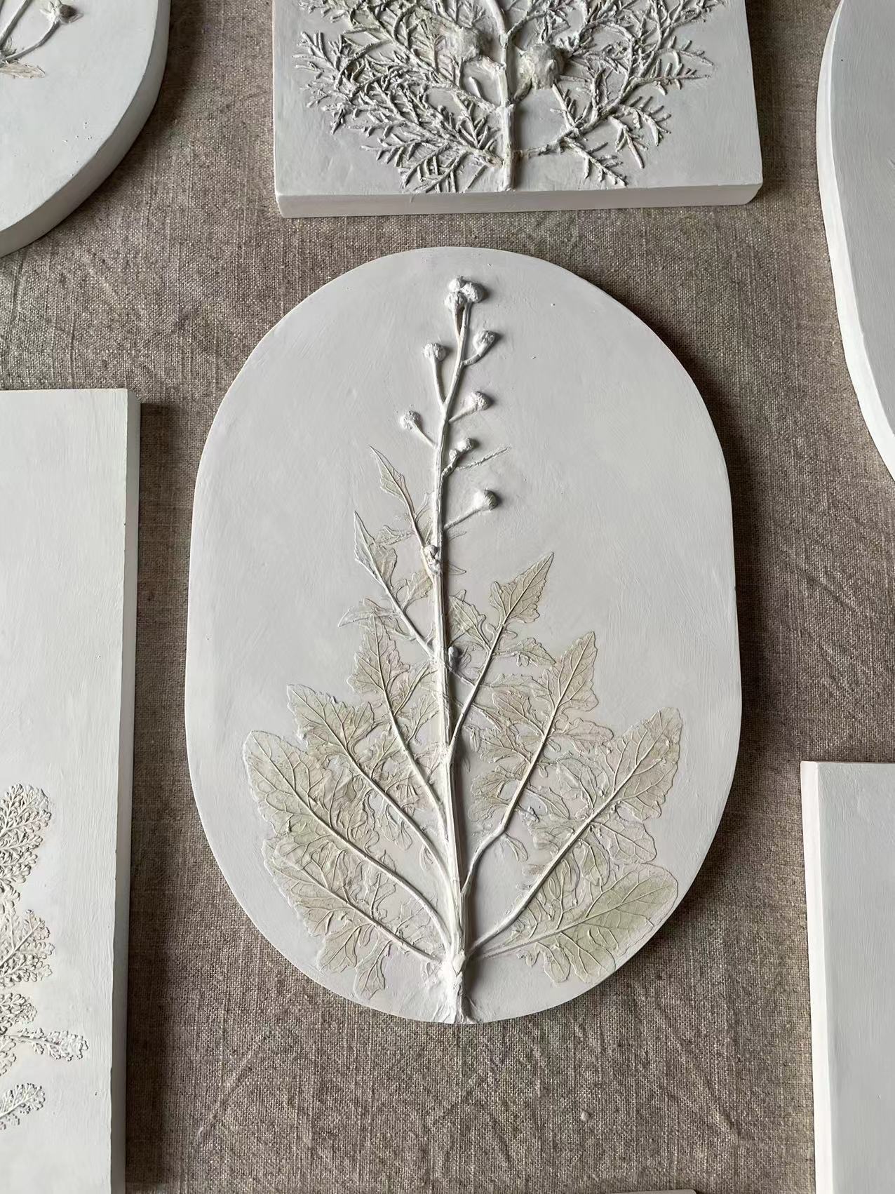 Agua | Plant rubbing plaster relief