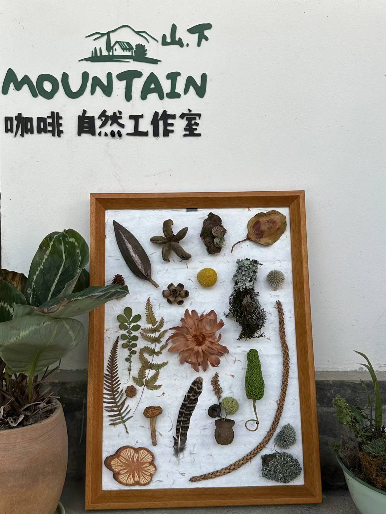 植物や果物を使って絵の額を作ります。 