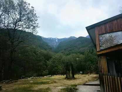 Ve a la casa de té en el bosque para probar té tostado.