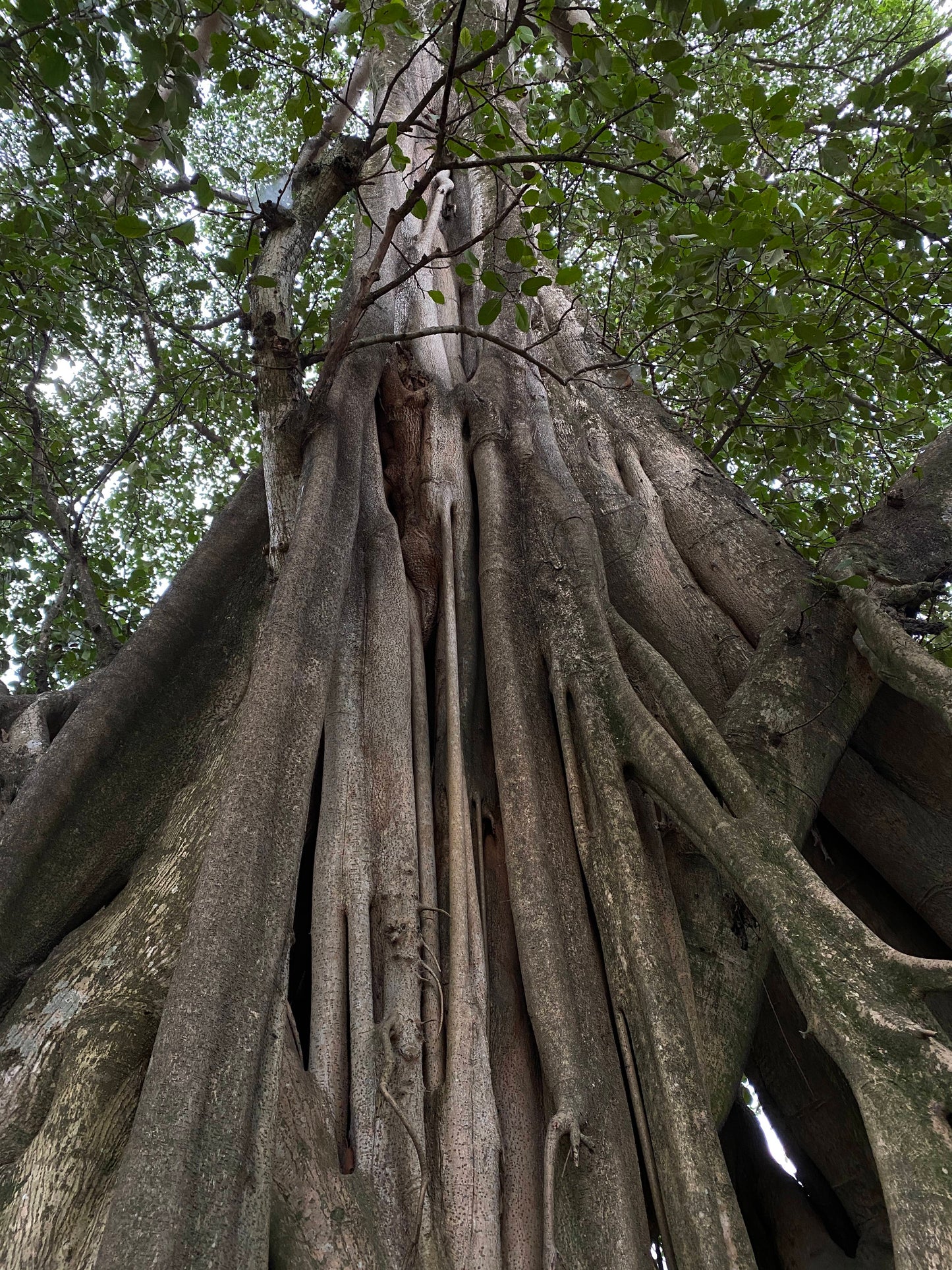 怒江2日旅行｜咖啡晒场 南部边境 温泉