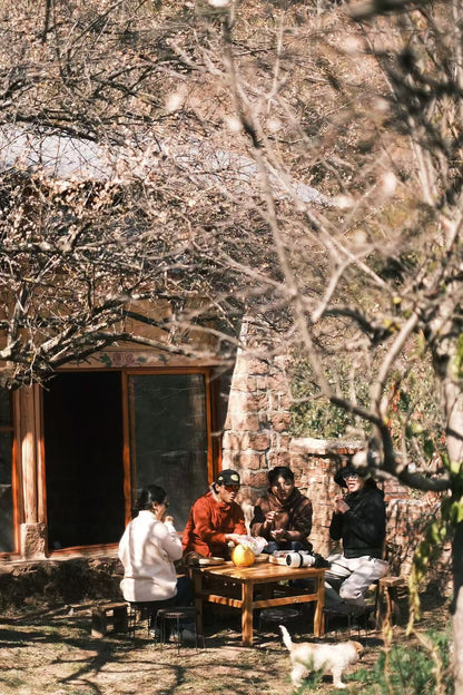 （1 月末-2 月中旬）徒步山裡的梅花林農家採割土蜂蜜