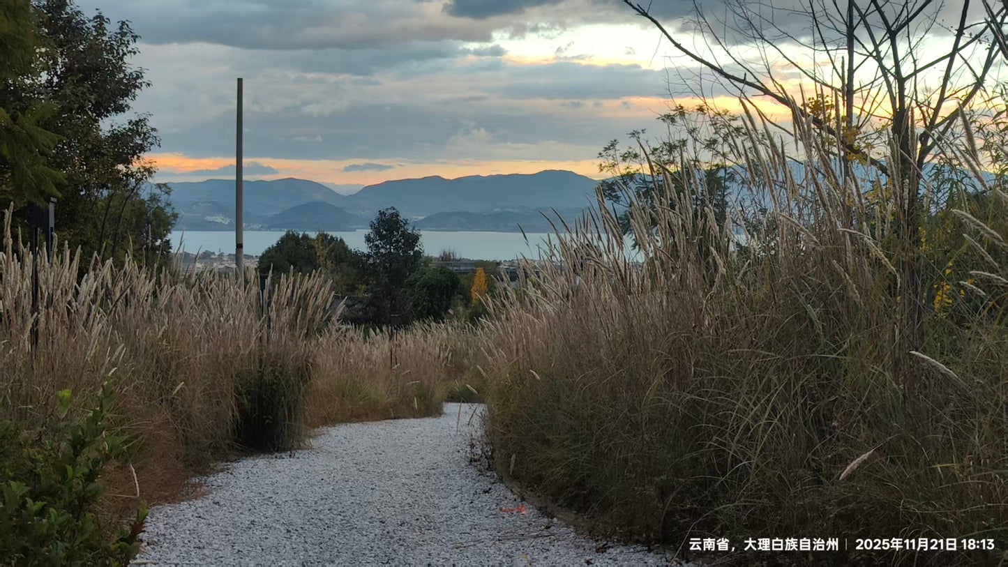 傍晚清碧溪茶园徒步 ｜下山向导红红家吃饭