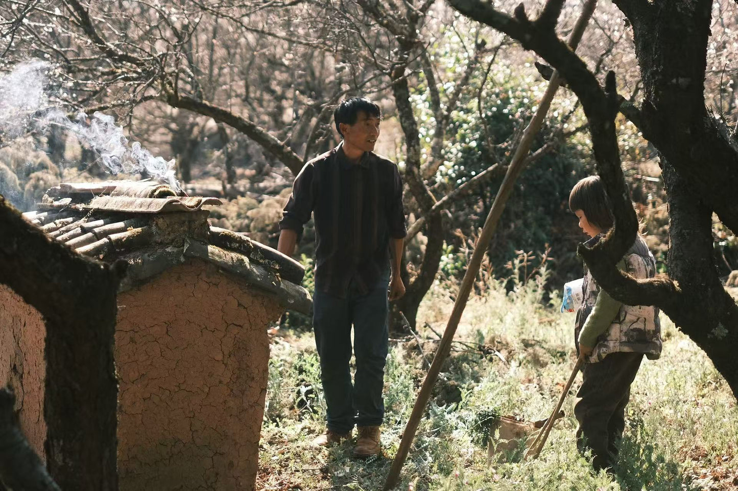 (De finales de enero a mediados de febrero) Camine por el bosque de ciruelos en flor en las montañas y recolecte miel local de los agricultores.