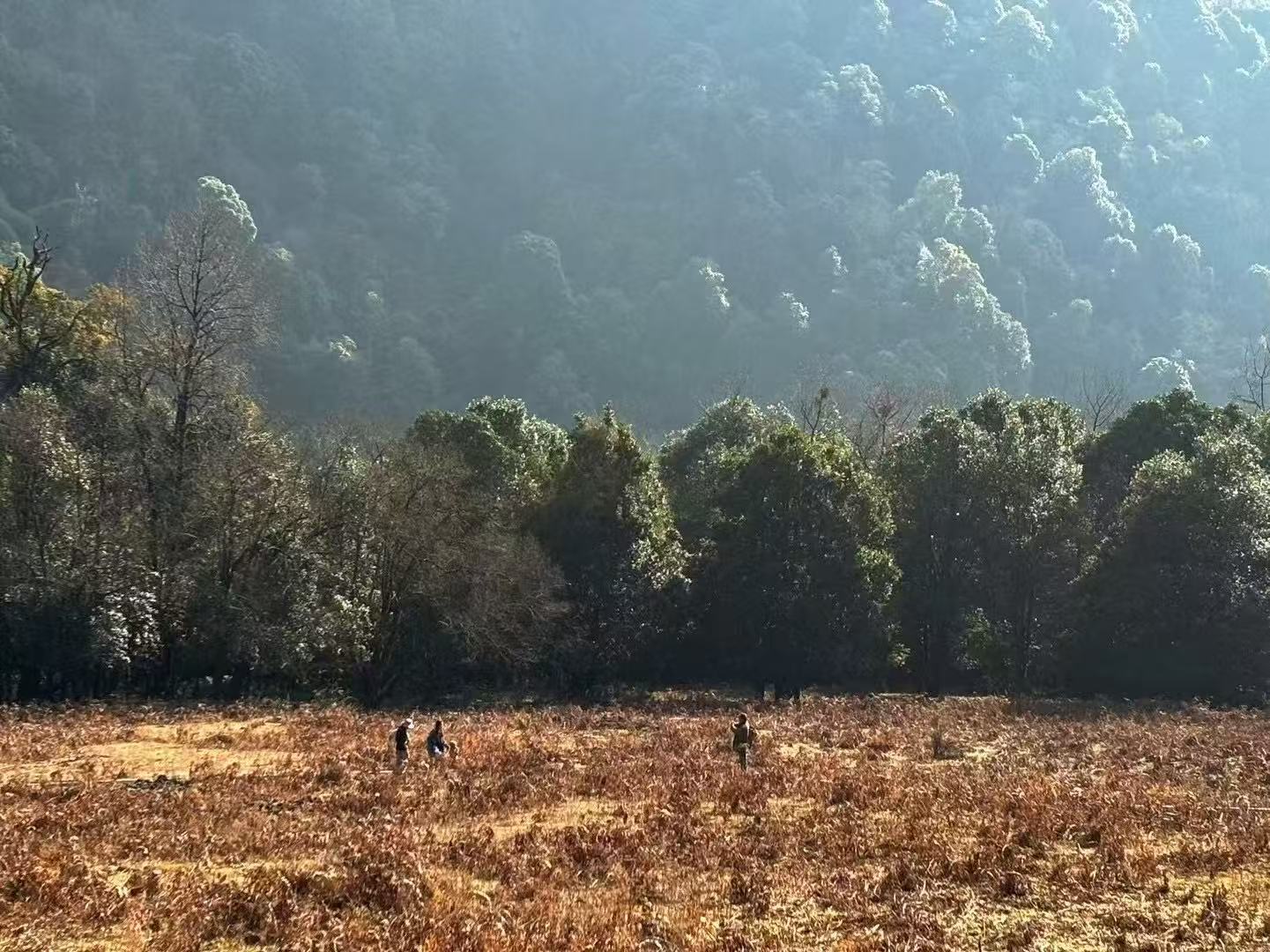 西坡深山里“亲戚”家的一天 | 苍山的另一边