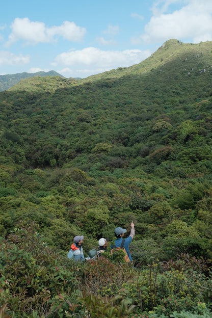 Hanhan's Ailao Mountain Forest Hike (2-day trip)