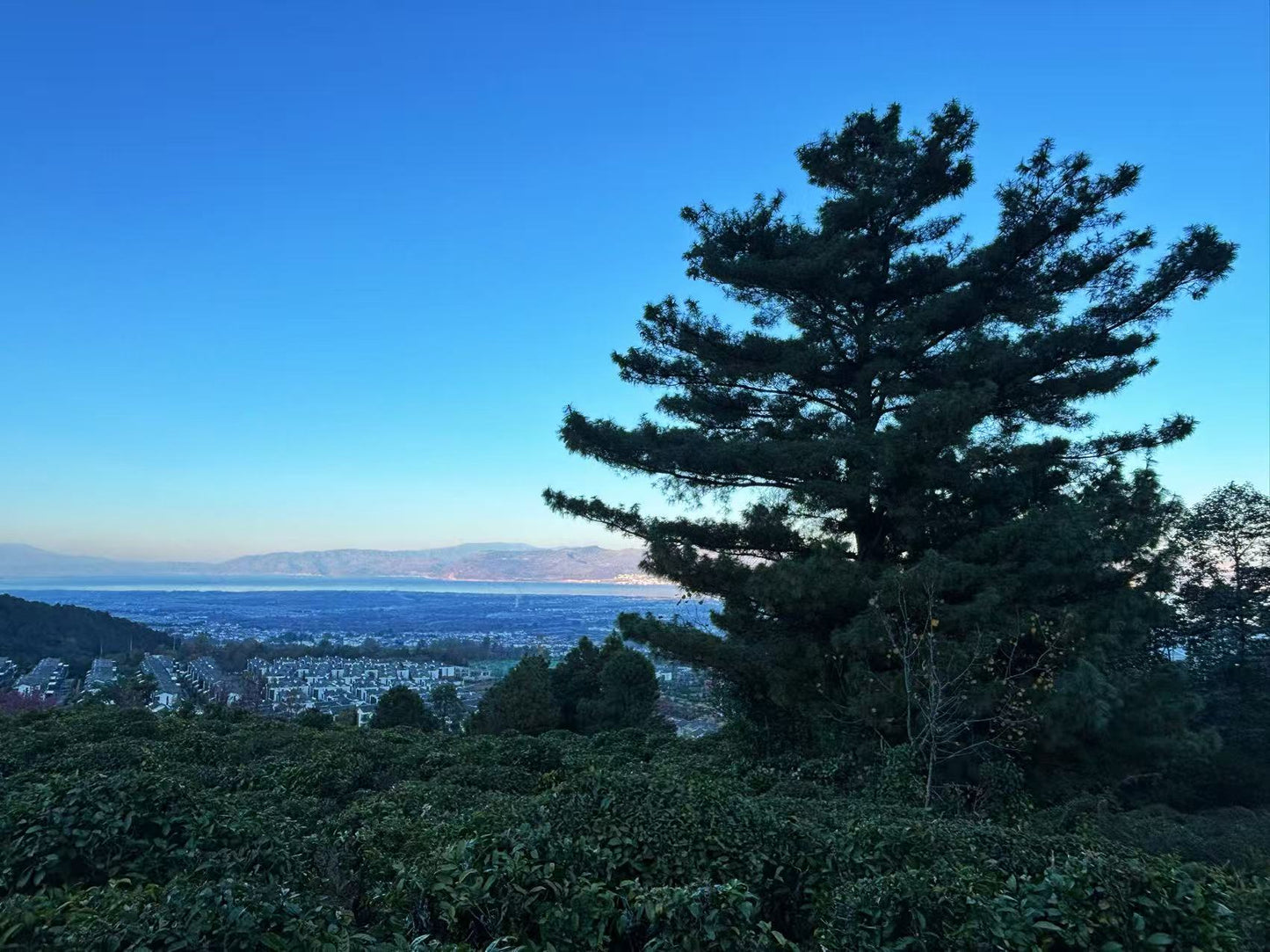 傍晚清碧溪茶园徒步 ｜下山向导红红家吃饭