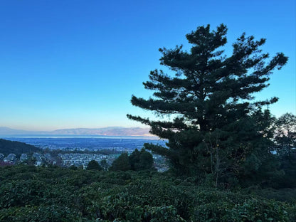 傍晚清碧溪茶园徒步 ｜下山向导红红家吃饭