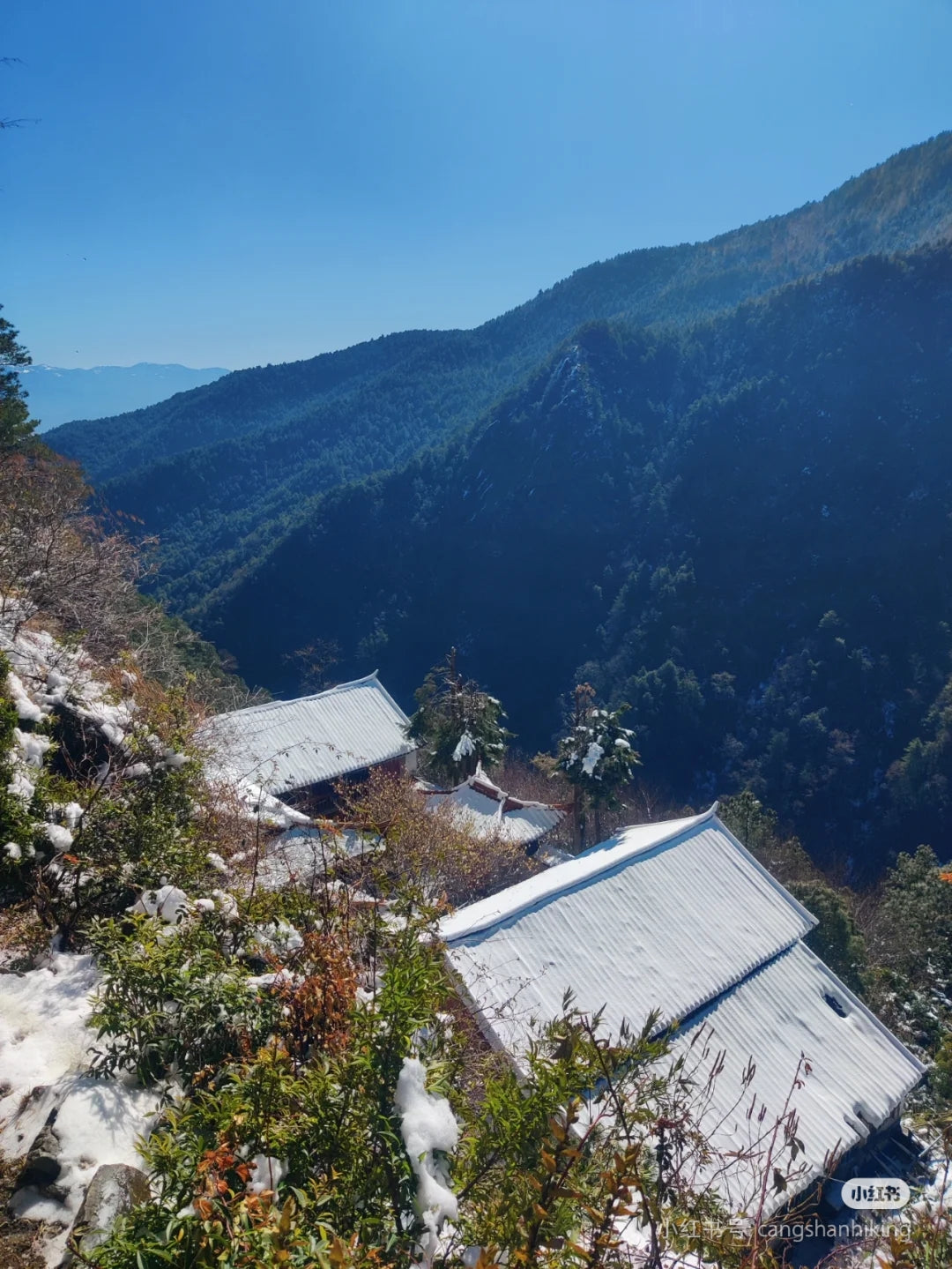 Hiking to Boluo temple and enjoy the vegan food