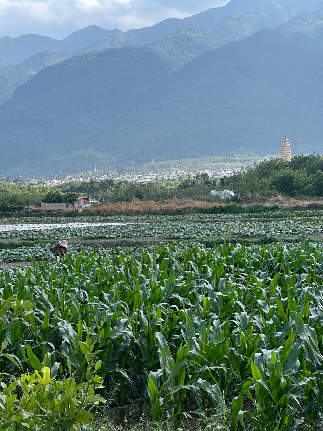 Wanghu Suo Shi | Un B&amp;B de dos habitaciones, independiente y acogedor, ideal al lado del campo