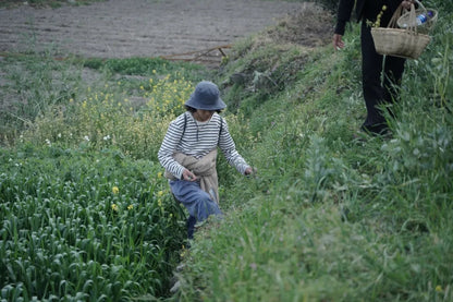 山脚散步采野菜，做天妇罗