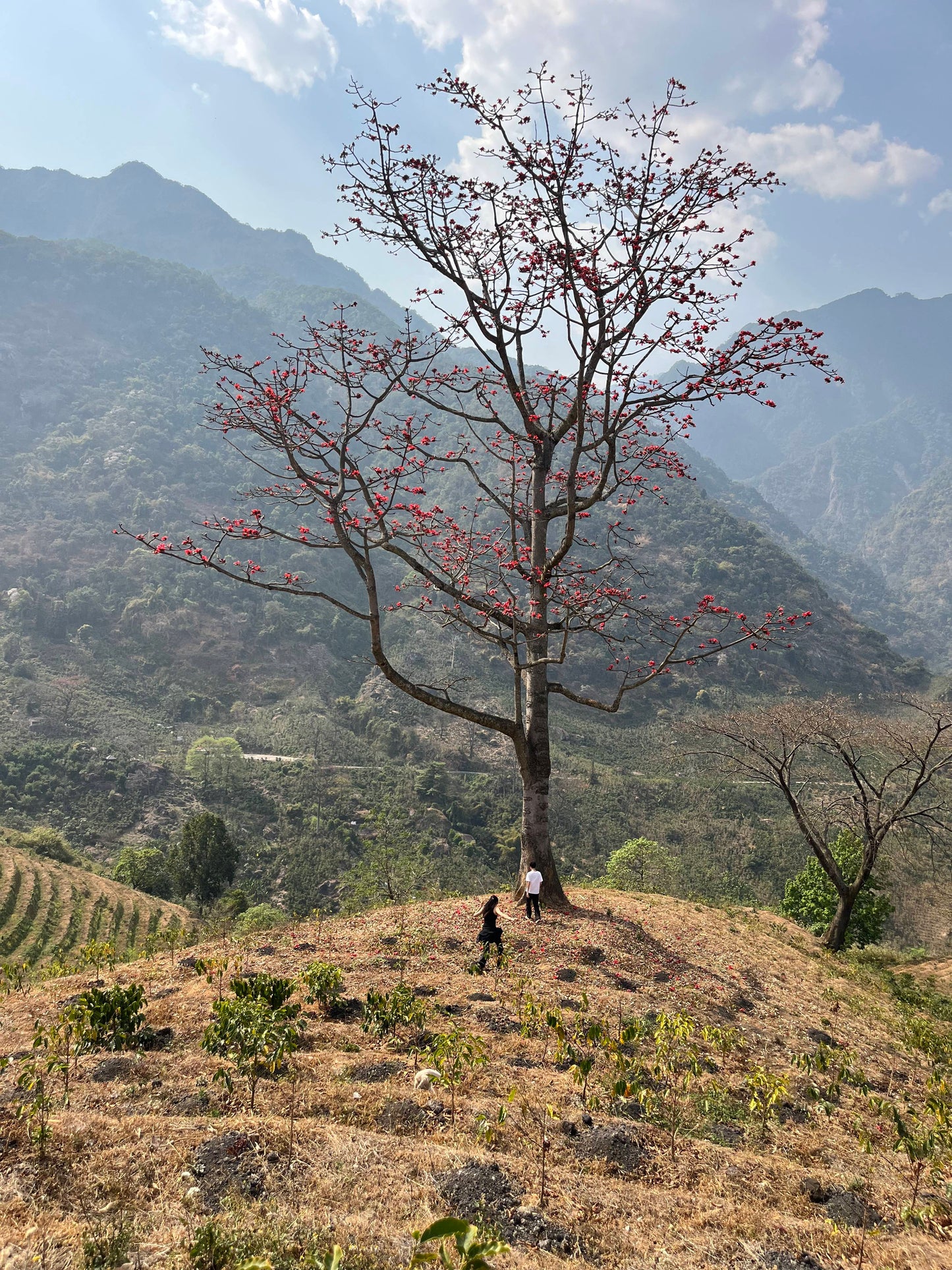怒江2日旅行｜咖啡晒场 南部边境 温泉