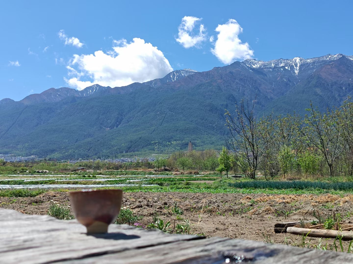 Wanghu Suo Shi | Un B&amp;B de dos habitaciones, independiente y acogedor, ideal al lado del campo